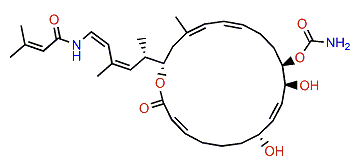 Palmerolide G